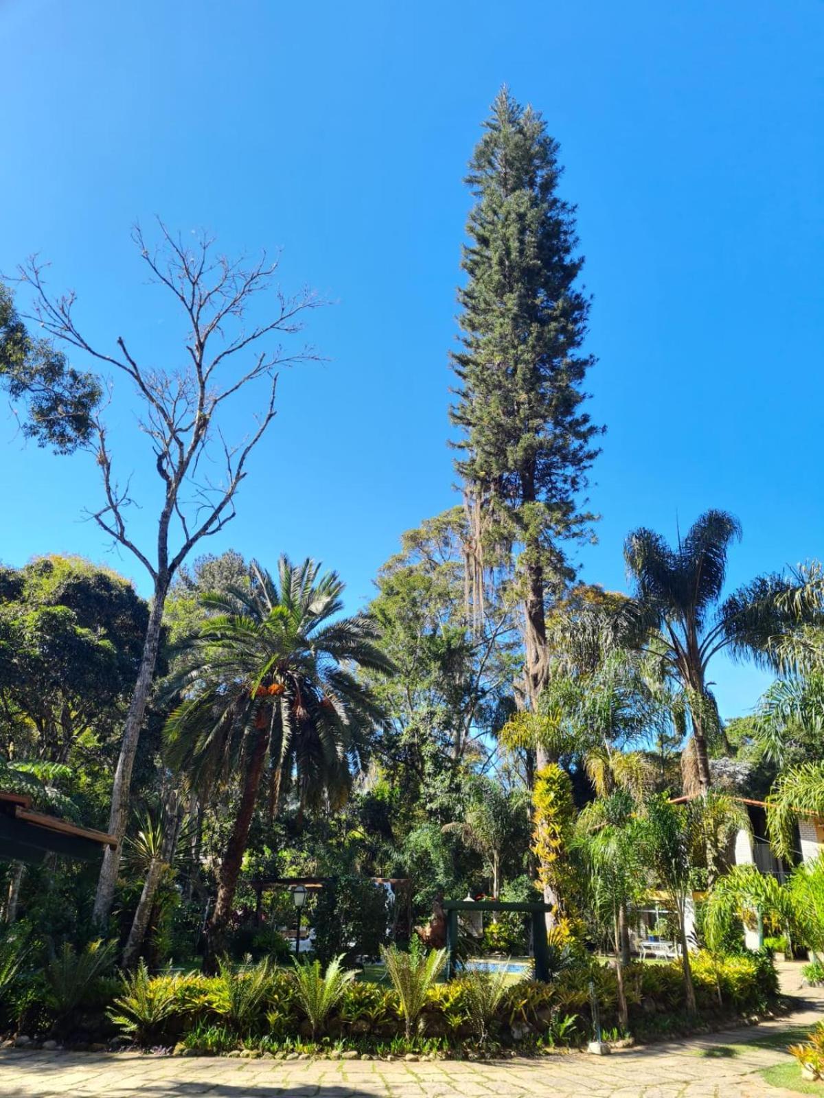 Pousada Villa Jambo Petropolis (Rio de Janeiro) Exterior foto